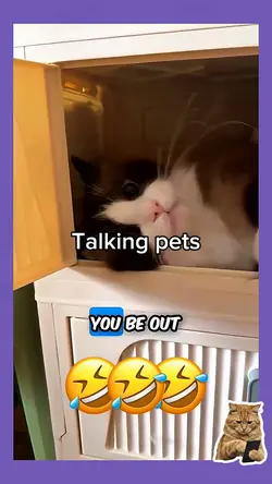 Talking pets 3