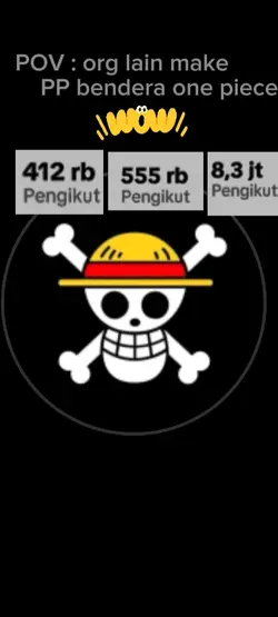 PP one piece viral 