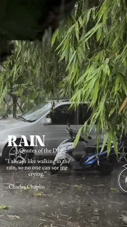 Rain Templates 