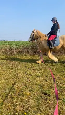 Rumpooo!!