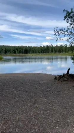 By the River