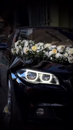 CAR🤠