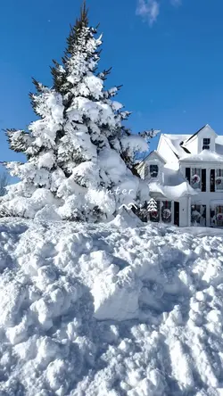 winter vibes