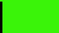 GREEN SCREEN SCAN