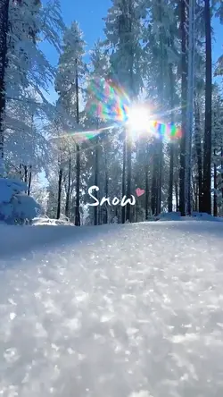 Snow 2026