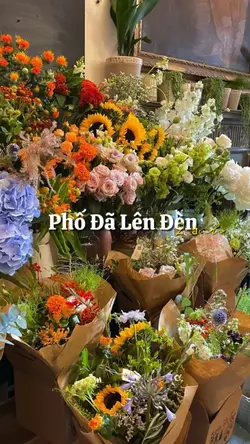 Phố Đã Lên Đèn 