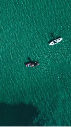 vitamin sea