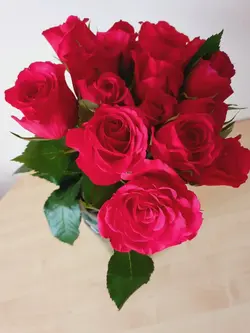 flower kwiaty roses