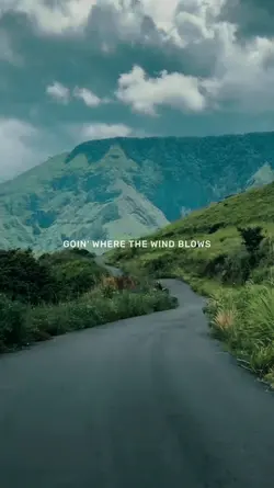 THE WIND BLOWS