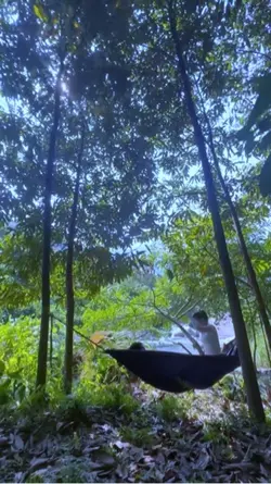 Thực care đơn 