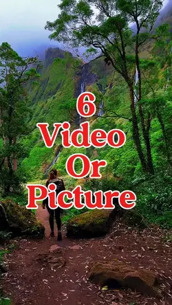 6 video or picture 