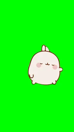 molang rat dance 