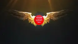 Angel wings ⁶