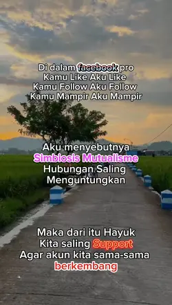 for creator fb