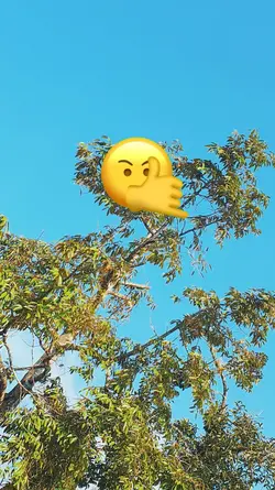 emoji velocity