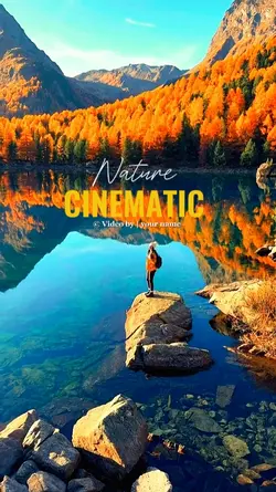 NATURE CINEMATIC 