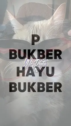JJ bukber bareng