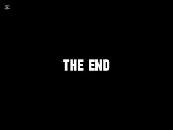 THE END..??