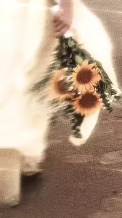 SLOMO Edit