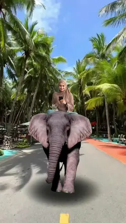 riding an elephant²⁵