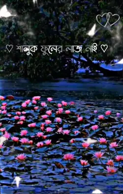 শালুক ফুলের লাজ নাই 