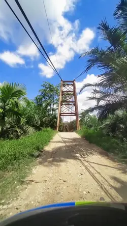 percuma 