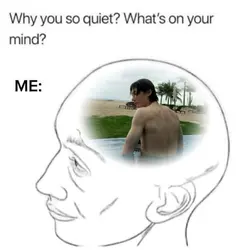 why you so quiet?