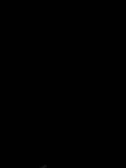 Dhoky
