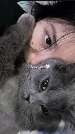i love cat