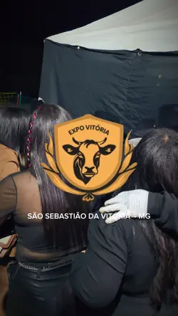 festa pronta 