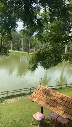 Um momento de paz 🤍