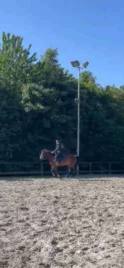 pas mantal pas poney