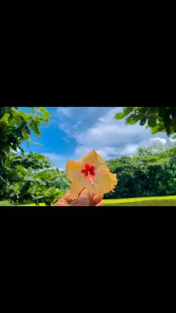 weather video 