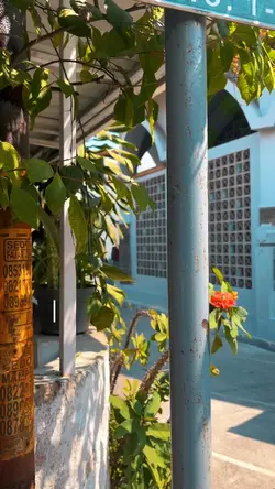 Theme Masjid