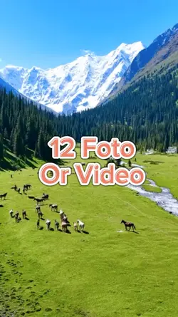 12 Foto Slide