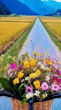 Sunny Nature