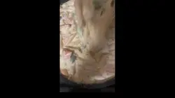 Dinner