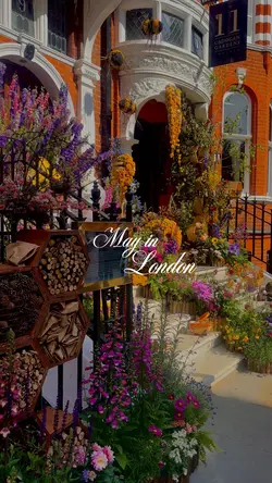 May in London 