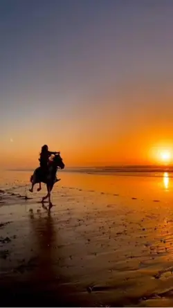 Horse beach template