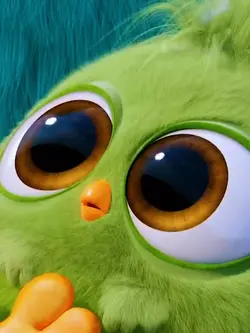 Angry birds 