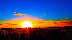 sunset 
