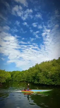 bilaku tatap wajah
