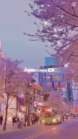 Japan core 🇯🇵