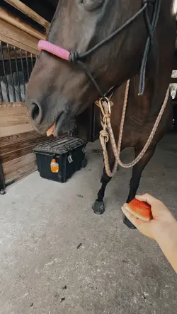 watermelon gooning🍉