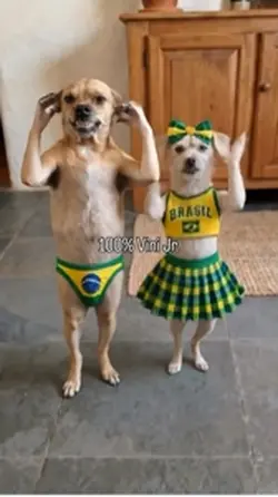 Música da copa