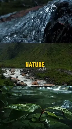 nature vibe
