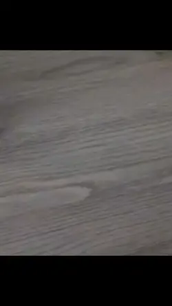 Chasing Kou