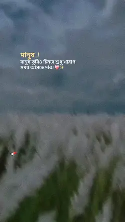 Bangla Status Video 