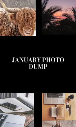 JANUARY PHOTO DUMP