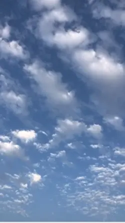 Weather template 